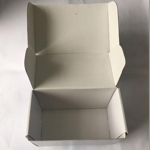 WE corrugated packaging box (3)
