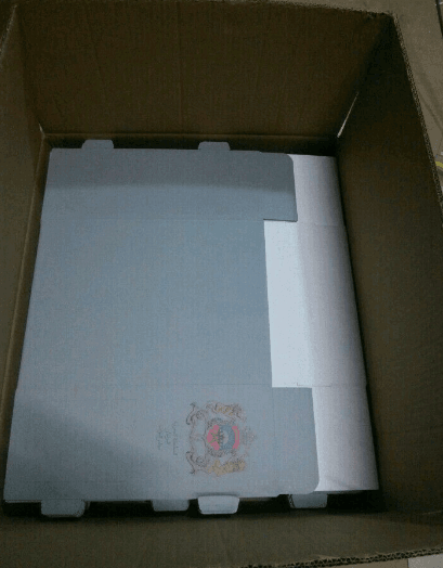 foldable packaging box (2)